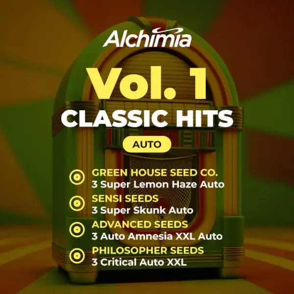 Alchimia Classic Hits Auto