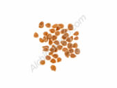 Tomate Tardà de Riells Bio - Les Refardes