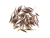 Organic Garden Cosmos - Les Refardes