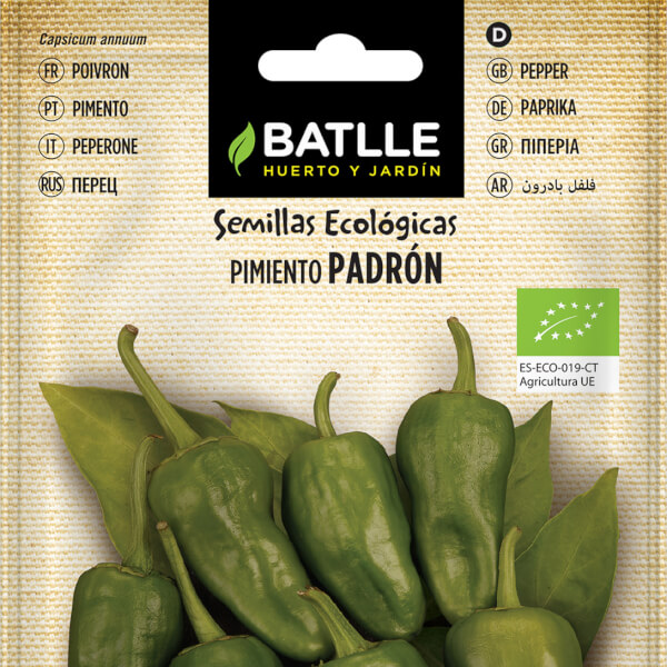 Piment Padrón ECO