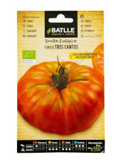 Pink Giant Tres Cantos Tomato 
