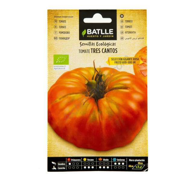 Gigante rosa Tres Cantos-Tomate