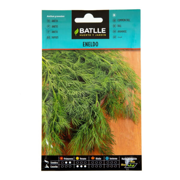 Dill
