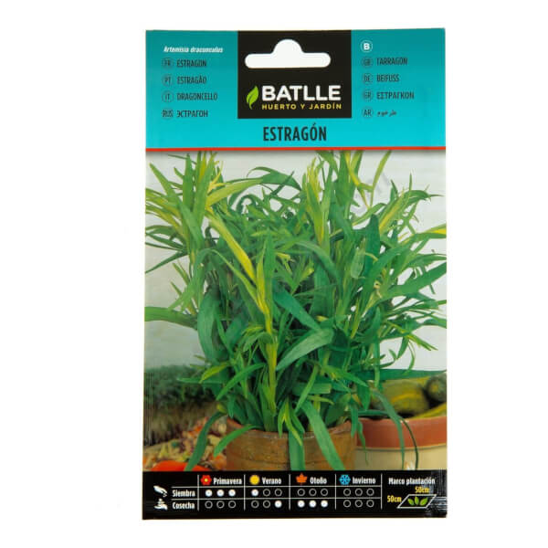 Batlle Tarragon