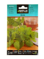 Lemon Balm