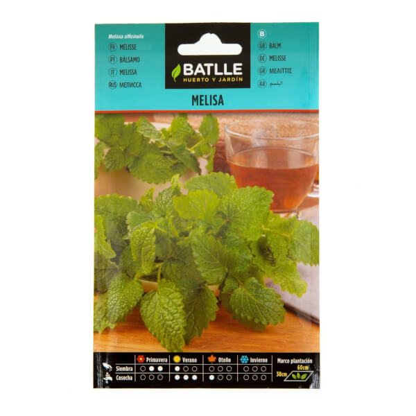 Lemon Balm