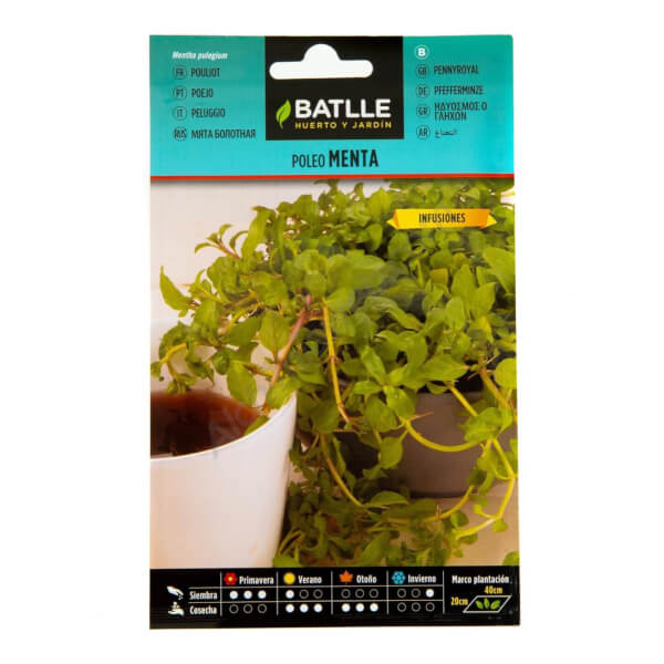 Poleo Menta - Batlle
