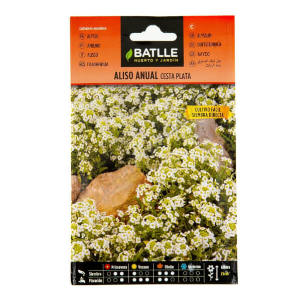Alysse Annuel - Batlle