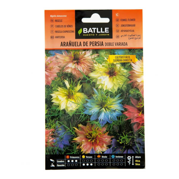 Nigelle de Damas