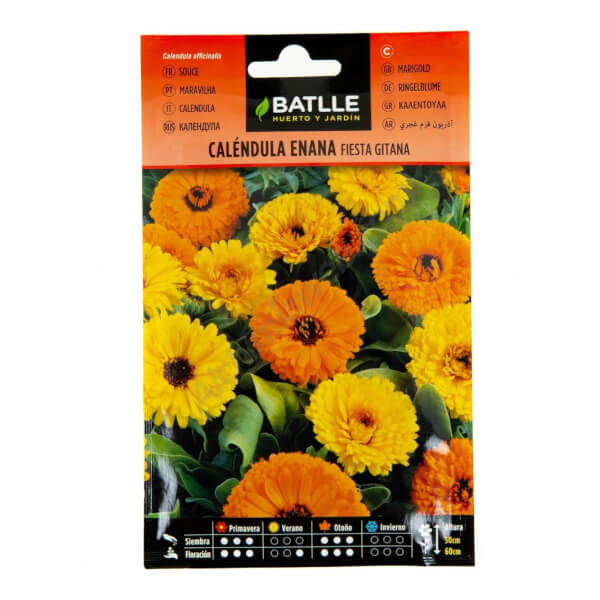 Souci nain Fiesta Gitane - Batlle