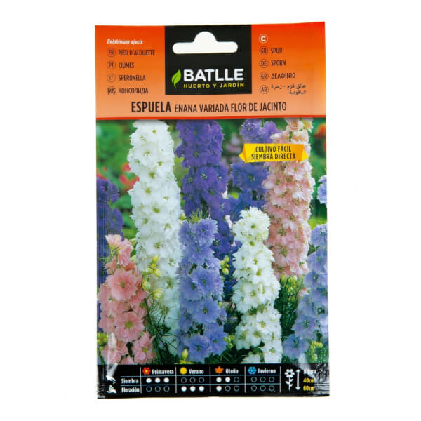 Hyacinth Flower