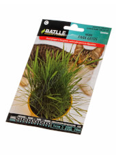 Herbe à chat - Batlle