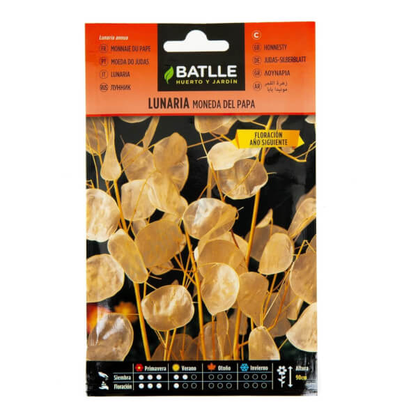 Lunaria Moneda del Papa - Batlle