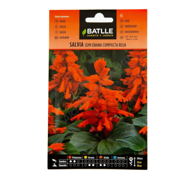 Salvia Semi Enana Rojo Fuego - Batlle