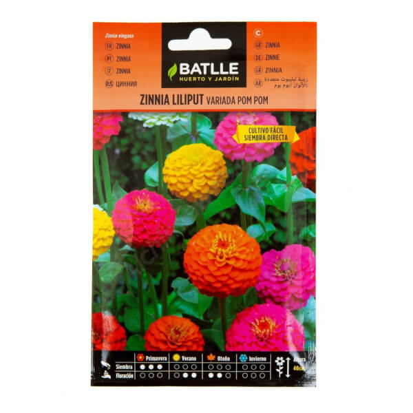 Zinnia Liliput Pom Pom - Batlle