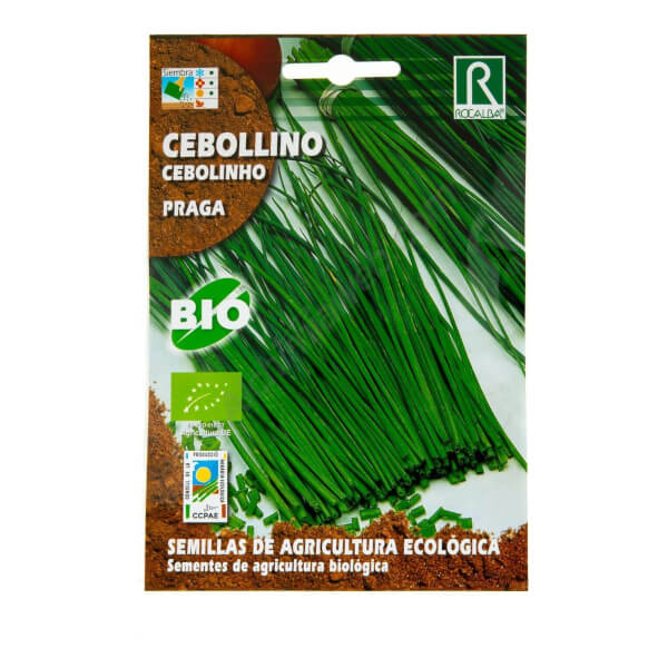 Rocalba - Chives Praga