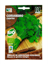 Coriandre Rocalba Bio