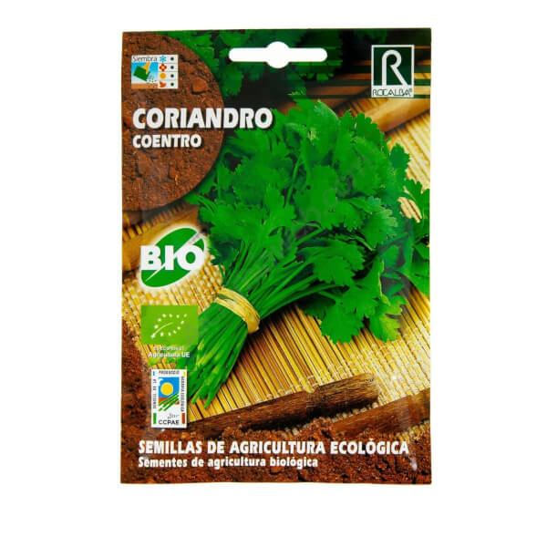 Coriandre Rocalba Bio