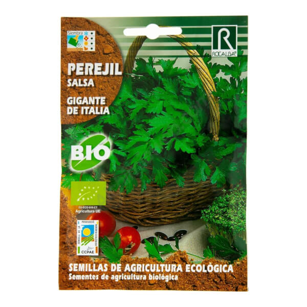 Persil géant d'Italie Bio Rocalba