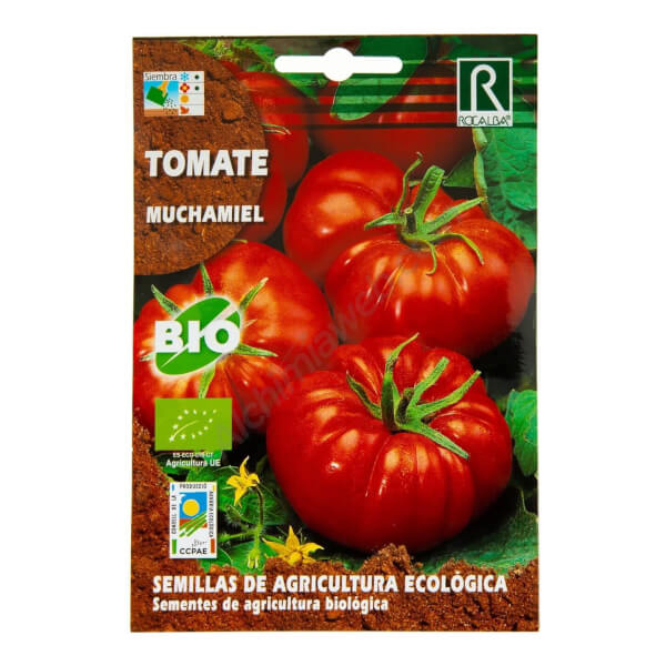 Tomate Bio Muchamiel de Rocalba 