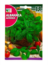 Rocalba Large Green Basil