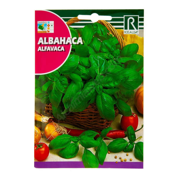 Basilic grand vert de Rocalba