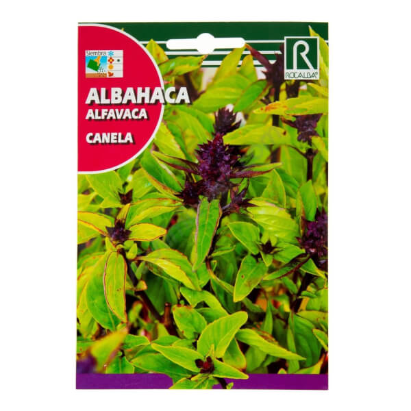 Rocalba Cinnamon Basil