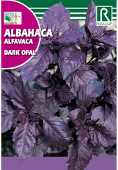 Rocalba Dark Opal Basil