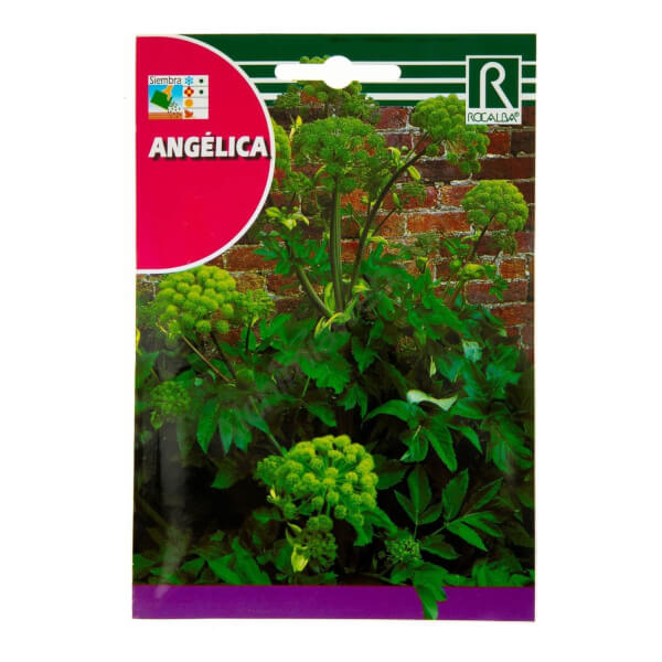 Angélica - Rocalba