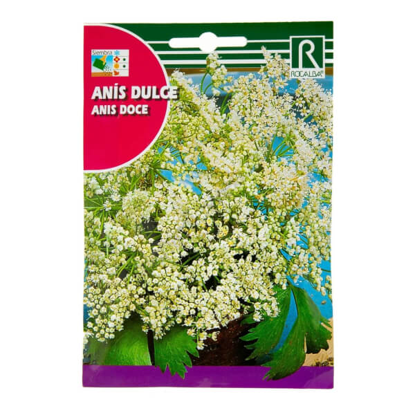 Anis vert - Rocalba