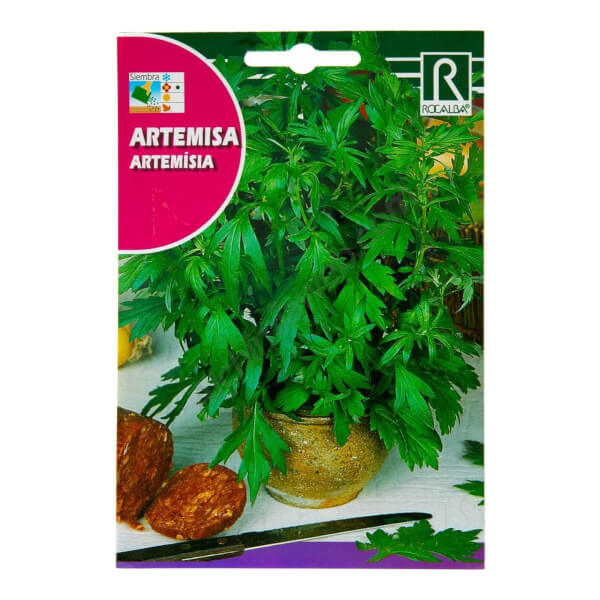 Artemisa - Rocalba