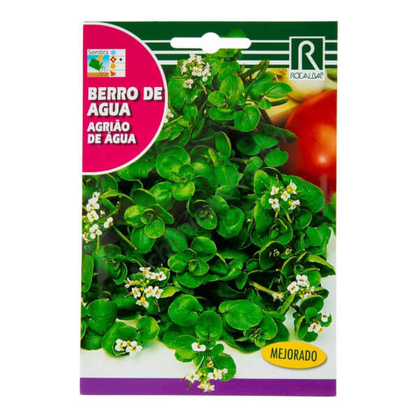 Cresson d'eau de Rocalba