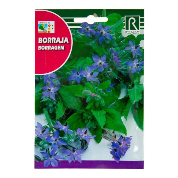 Rocalba Borage
