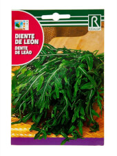Pissenlit - Rocalba