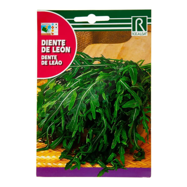 Rocalba - Dandelion