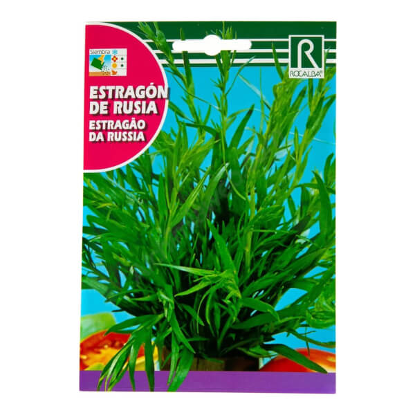 Estragon de Russie - Rocalba