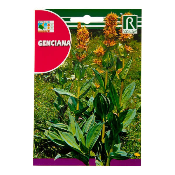 Rocalba - Gentian