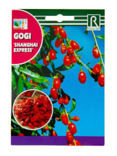 Gogi Shangai Express - Rocalba