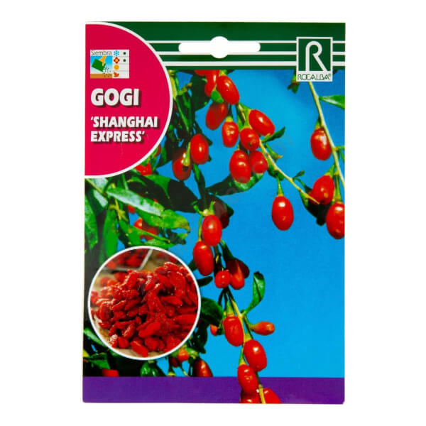 Gogi Shangai Express - Rocalba