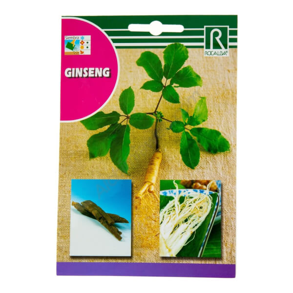Ginseng - Rocalba