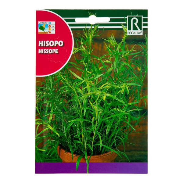 Hisopo - Rocalba