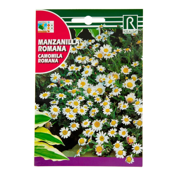 Rocalba - Roman Camomile