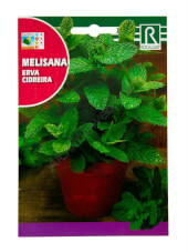 Rocalba Balm