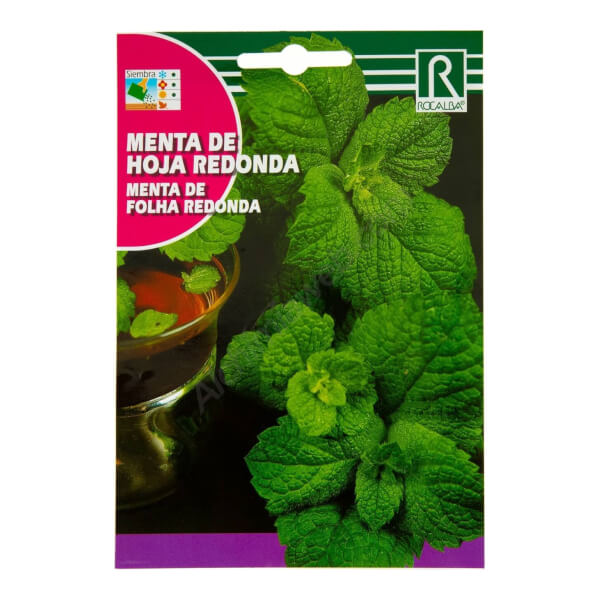 Menthe feuille ronde Rocalba 