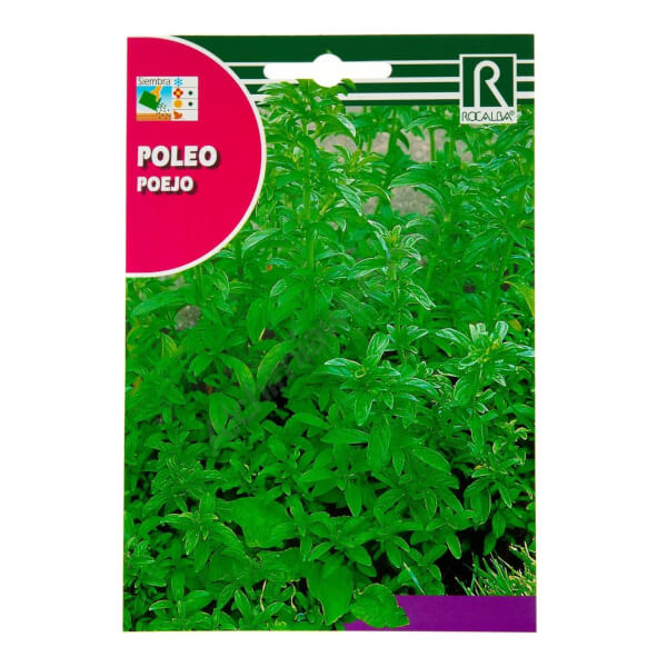 Menthe pouliot - Rocalba