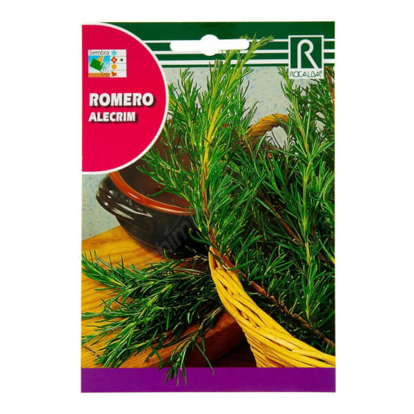 Romarin - Rocalba
