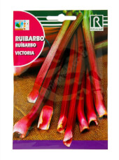 Ruibarbo Victoria - Rocalba