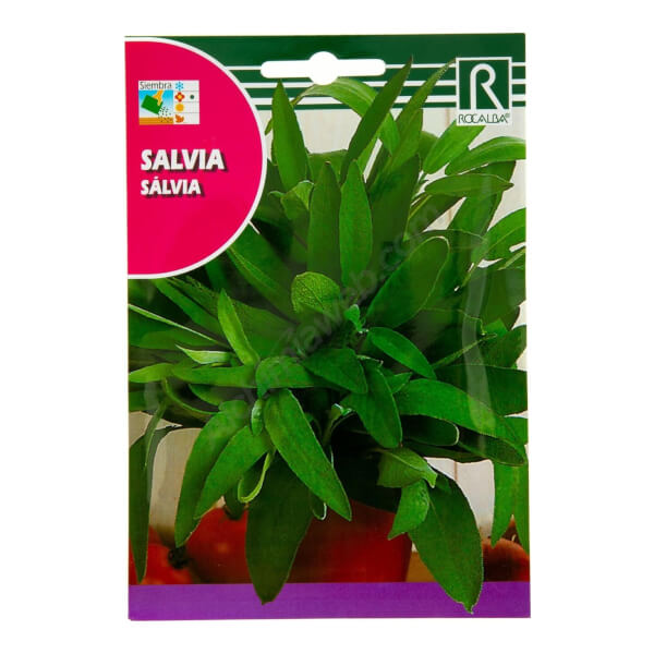 Salbei - Rocalba