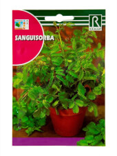 Wiesenknopf - Rocalba 