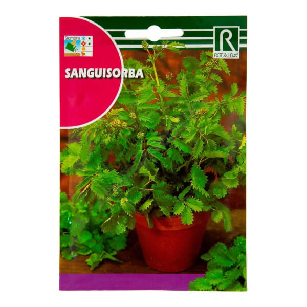 Rocalba Sanguisorba